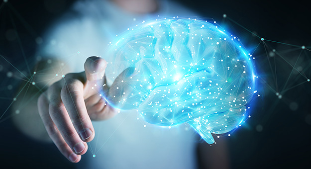 Descubre los Secretos del Cerebro Humano con Neurociencia Cognitiva