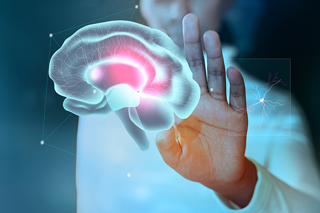 ¿Qué son las Neuroventas? Descubre cómo vender más aplicando la neurociencia